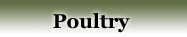 Poultry